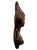 Mid 20th Century Balinese Macassar Ebony Bust For Sale In Austin - Image 6 of 12