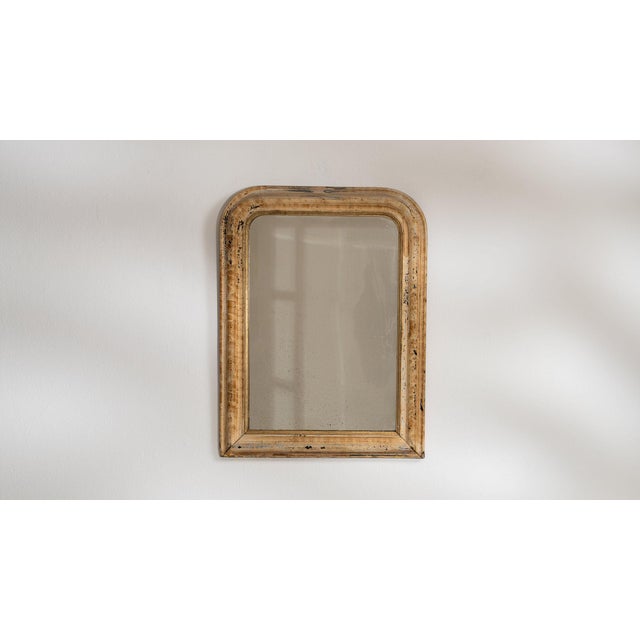 19th Century 19th Century France Weathered Whitewash Cerused Oak Wall Mirror For Sale - Image 5 of 7