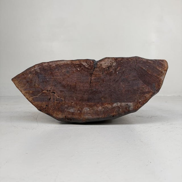 Brown Large Wooden Ainu Bear with Cub and Salmon, 1950s For Sale - Image 8 of 9