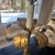 Mid-Century Modern Gilt-Metal Palm Tree Table Lamp in the Style of Maison Jansen For Sale In New York - Image 6 of 8