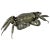 Japanese Meiji Articulated Bronze Crab For Sale - Image 10 of 10