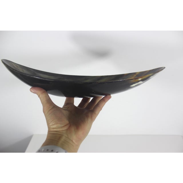 Vintage Horn Bowl, Natural Trinket Dish or Catchall Centerpiece For Sale - Image 11 of 12