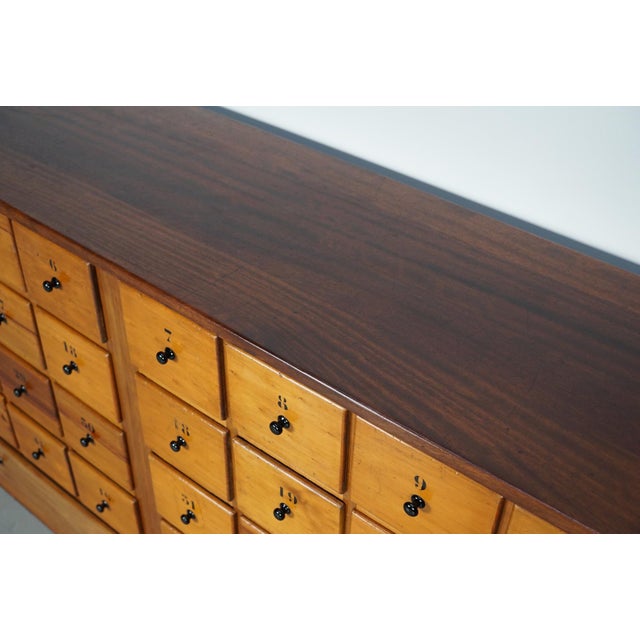 Large Mid-20th Century Dutch Industrial Beech Apothecary Cabinet For Sale - Image 15 of 18