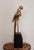 Hollywood Regency Brass Parrot Sculpture, 1970s For Sale - Image 4 of 18