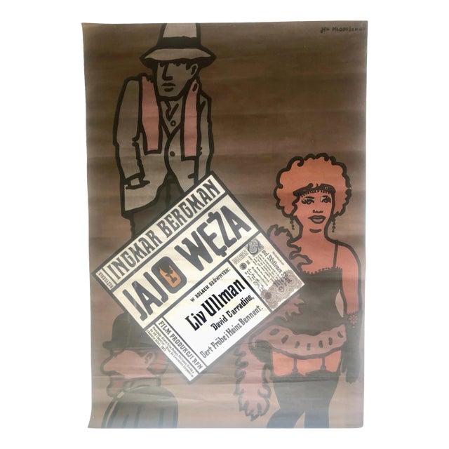 Jajo Węża Film Poster by J. Młodożeniec, Poland, 1980 For Sale