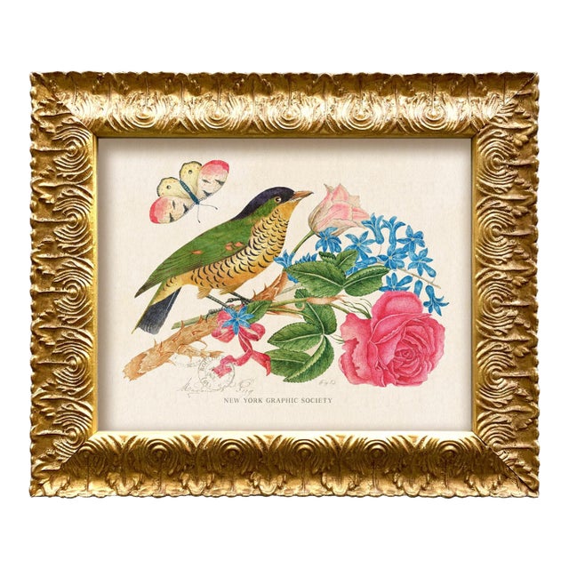 Reproduction Vintage Birds and Butterflies Art Print (Bird#2), Framed For Sale
