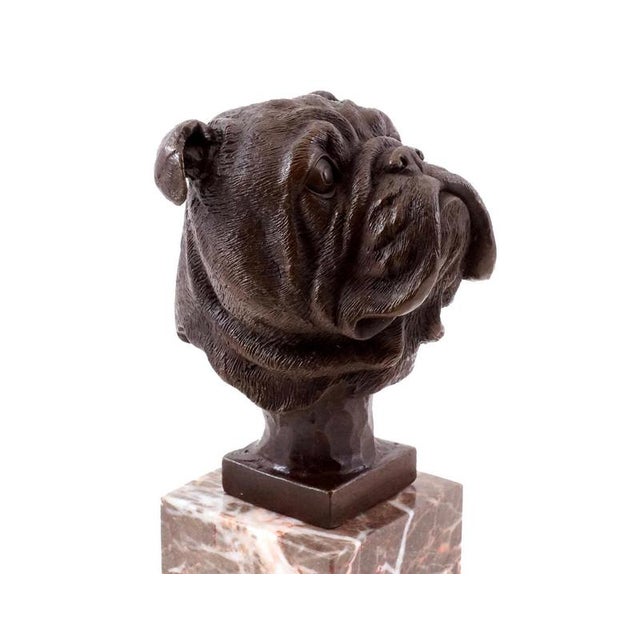 French Bulldog Head Sculpture in Bronze, 20th Century For Sale - Image 3 of 10