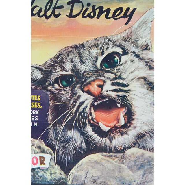 Disney Le Désert Vivant Film Poster For Sale - Image 4 of 7