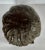 Mid 20th Century Vintage Limited Edition 1958 Reproduction Sculpture ‘Head of Coco’ (1908) by Pierre-August Renoir by Alva Museum Replicas For Sale - Image 5 of 12