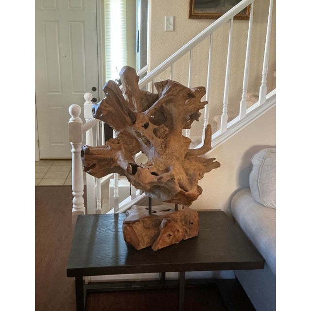 Camel Organic Cyprus Root Sculpture - One of a Kind Statement Piece! For Sale - Image 8 of 12
