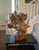 Camel Organic Cyprus Root Sculpture - One of a Kind Statement Piece! For Sale - Image 8 of 12