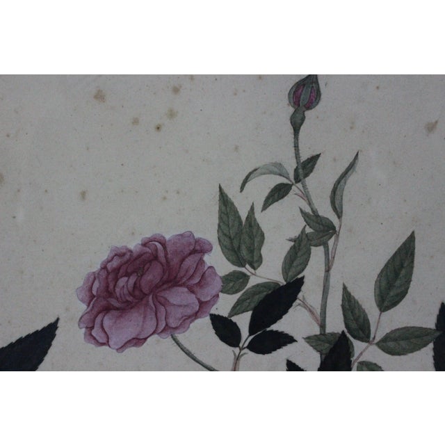 Red Camellia Rose Chinese Watercolour For Sale - Image 5 of 7