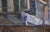 New York Apartments - Landscape For Sale In Monterey, CA - Image 6 of 10
