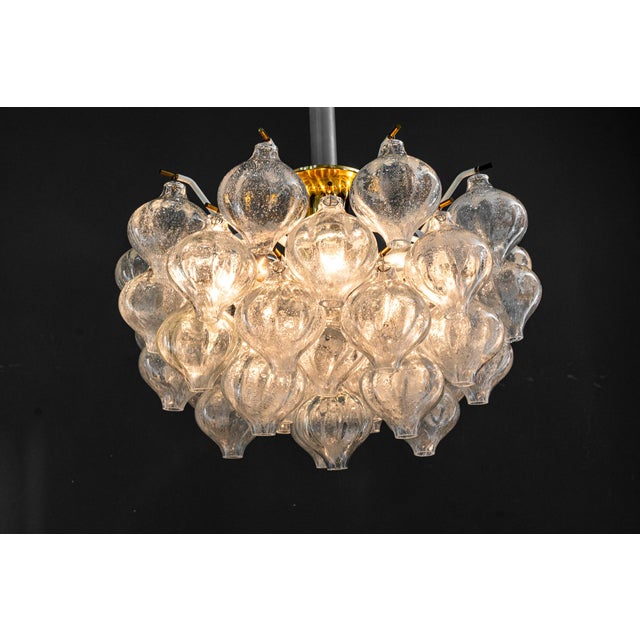 Tulipan Ceiling Lamp from J.T. Kalmar, 1960s For Sale - Image 16 of 18