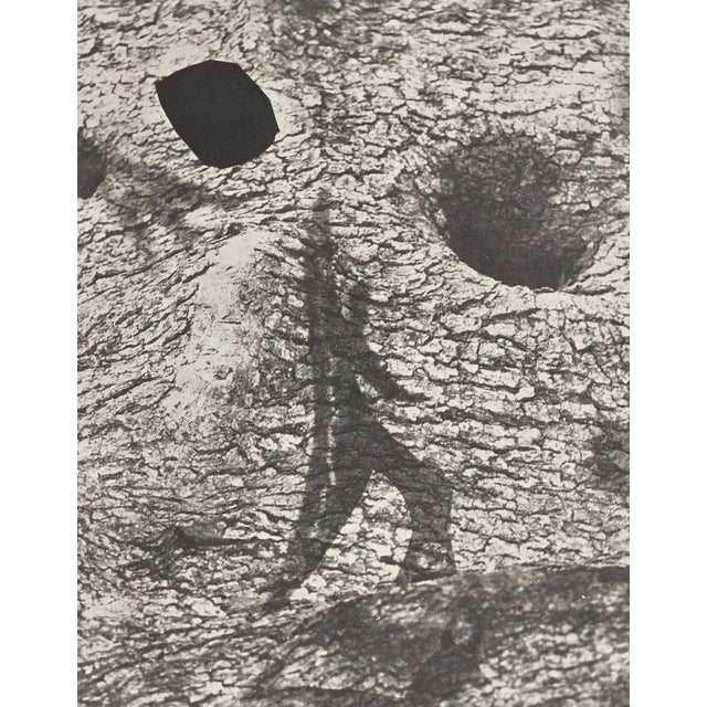 This work is part of the portfolio of 30 lithographic plates created by the painter Pablo Picasso and the photographer...