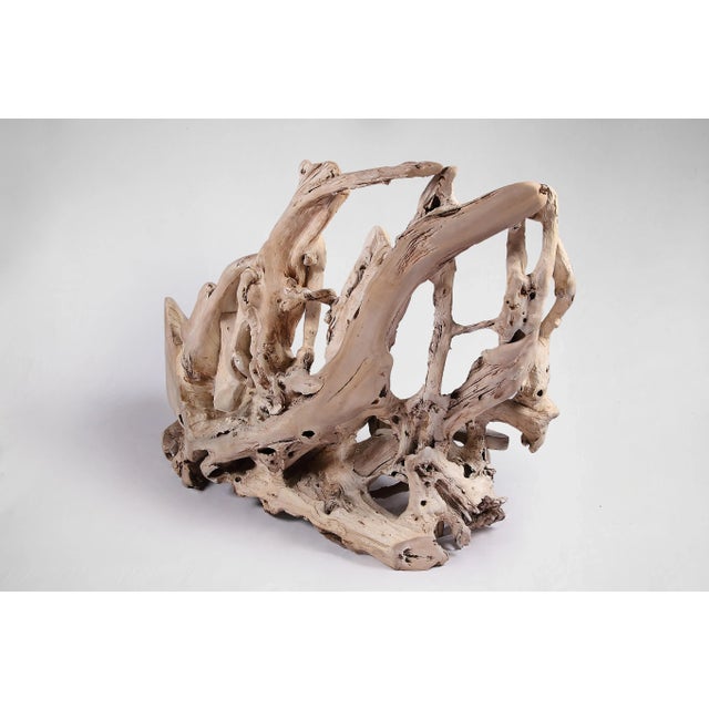 Modern Free Form Teak Root Bench 29 For Sale - Image 4 of 12