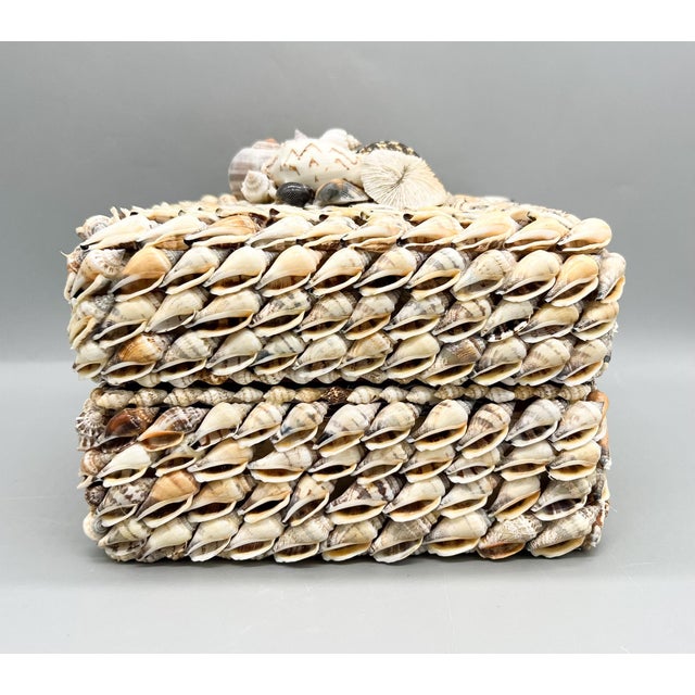 Vintage Coastal Seashell Covered Shell Encrusted Box – Coastal / Tropical For Sale - Image 11 of 18