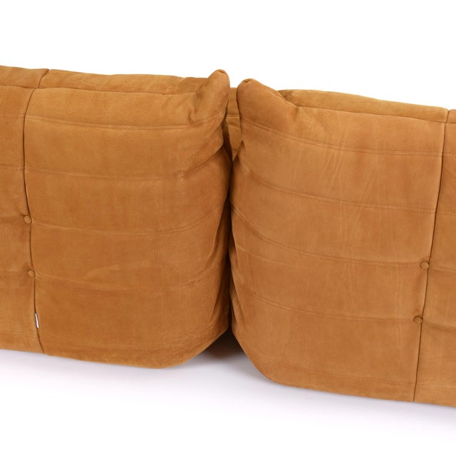 Ligne Roset Authentic Togo Sofa 5-Piece Set – Cognac Nubuck For Sale - Image 4 of 17