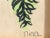 Abstract 1970s Original Framed Watercolor of a Palm Tree For Sale - Image 3 of 5