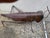 Folk Art Vintage Folk Art Copper Grasshopper in Blades of Copper Grass For Sale - Image 3 of 16