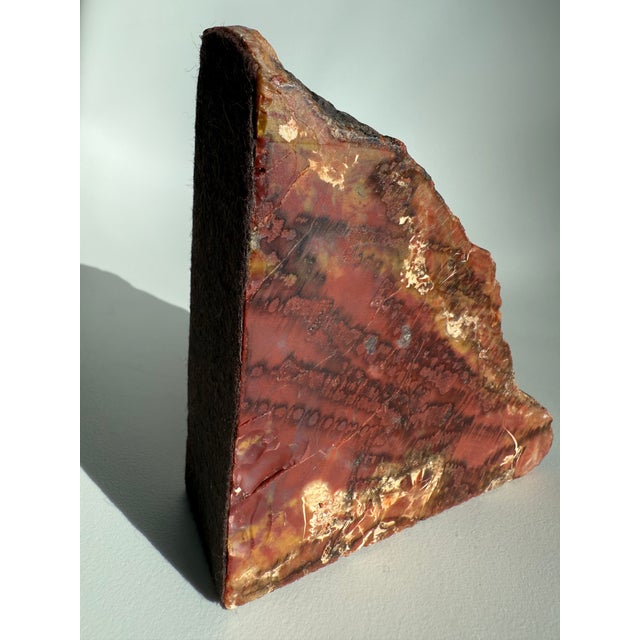 Vintage MCM Pair of Petrified Wood Bookends Arizona Rainbow For Sale - Image 10 of 14