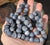 Shell Vintage Natural Denim Blue Sponge Coral Hand Knotted Bead Necklace 32" Long For Sale - Image 7 of 15