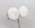 1960s goldtone round domed tiny white beaded butterfly clip back earrings. Marked "NAPIER PAT. PEND." on the clips....