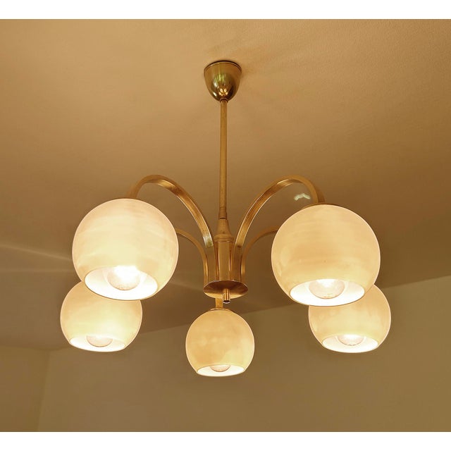 Gold Art Deco Opaline Glass and Brass Pendant Light, 1950s For Sale - Image 8 of 15