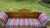 Scrolled-Arm Wooden Hall Bench With Fabric Cushions For Sale - Image 4 of 9
