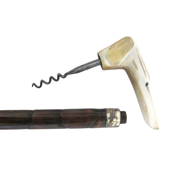 Brown Victorian Whippet Greyhound Dog Carved Handle Corkscrew Gadget Walking Stick For Sale - Image 8 of 10