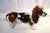 A ceramic figure of a life-size basset hound, dated 1900s. A rear and adorable depiction of a basset hound. Unmarked but...