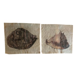 Authentic Set of Two 18th Century Hand Painted Engravings of Mollusks. For Sale