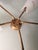 Gold Star-Shaped Wall Lamp in Brass and Acrylic Glass Lumen from Lumen Milano, 1950s For Sale - Image 8 of 10