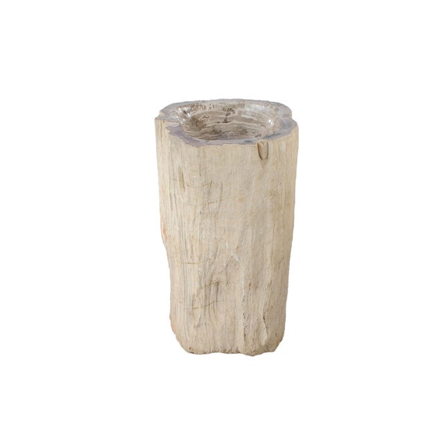 Beige Freestanding Petrified Wood Water Basin by Xyleia Petrified Wood For Sale - Image 8 of 8