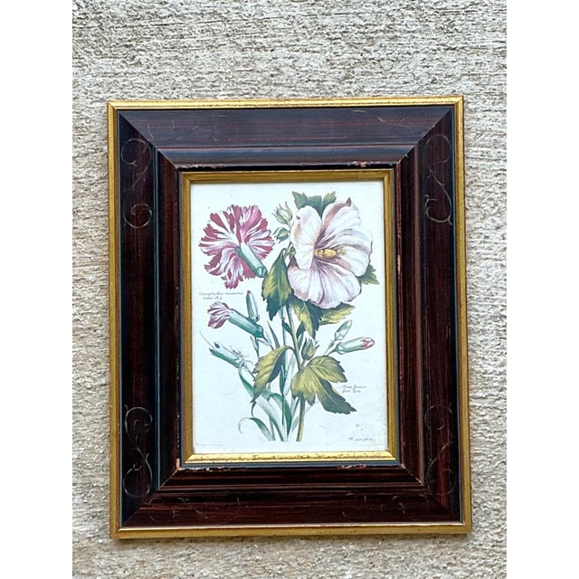 Vintage Chelsea House Botanical Floral Print in Wood Frame For Sale In West Palm - Image 6 of 12