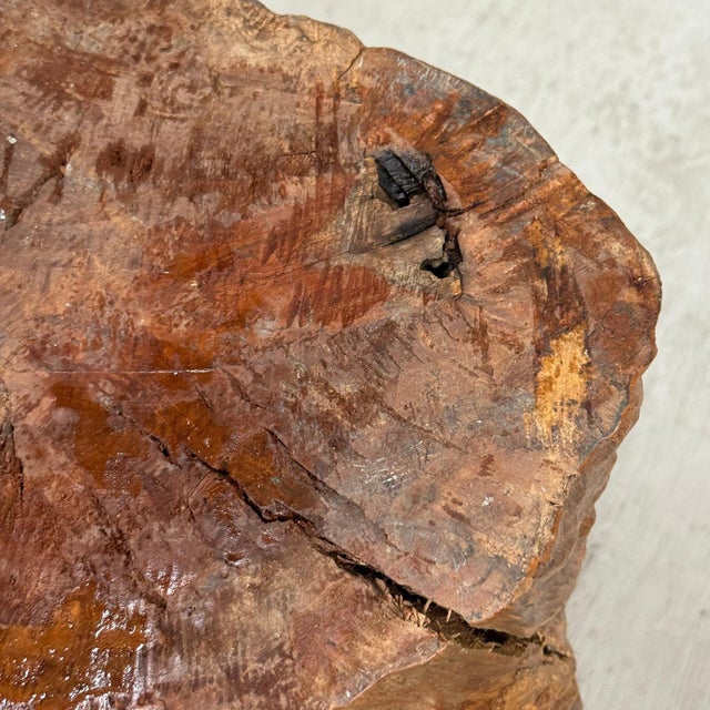 Mid 20th Century Large Light Brown Free-Form Tree Trunk Side Pedestal Table For Sale - Image 10 of 10