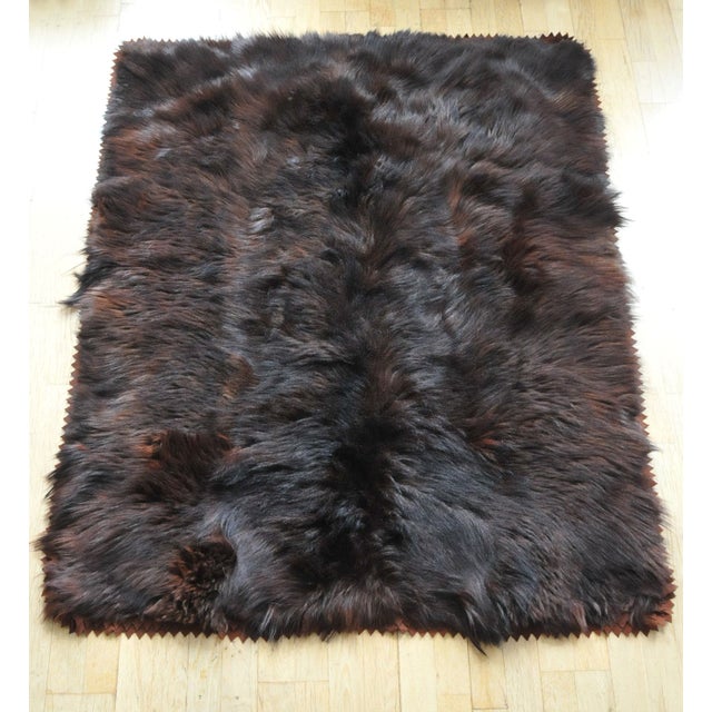 Vintage Bear Skin Rug 4' x 4' 6" Chairish