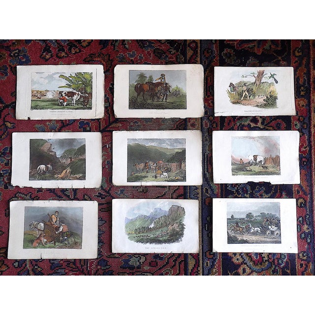 Antique Mid 19th Century Hand Colored Sporting/Equine Engraved Views - Set of 9 For Sale In Cincinnati - Image 6 of 6