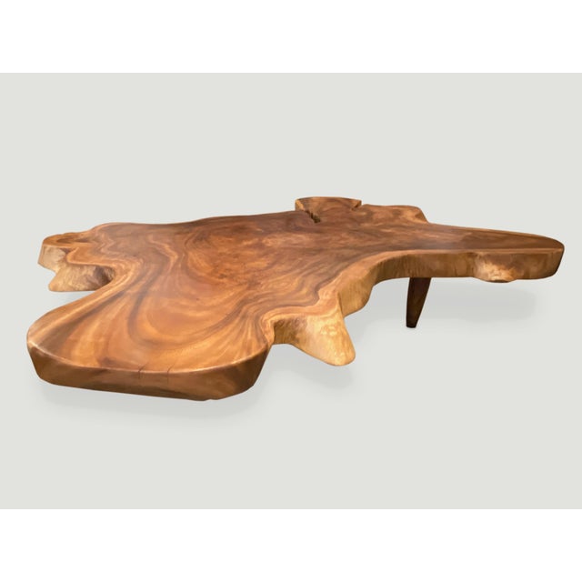 Andrianna Shamaris Amorphous Suar Wood Coffee Table For Sale In New York - Image 6 of 6