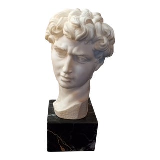 1970s Ruggeri G Alabaster Bust of David From Italy on Marble Pedestal For Sale