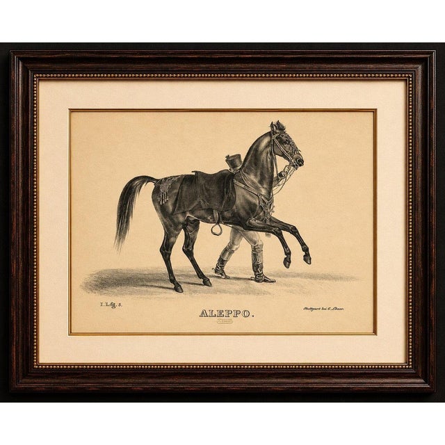 Title: antique arabian horse lithograph “aleppo” by august jäger, 1846 : a dramatic and highly decorative antique...
