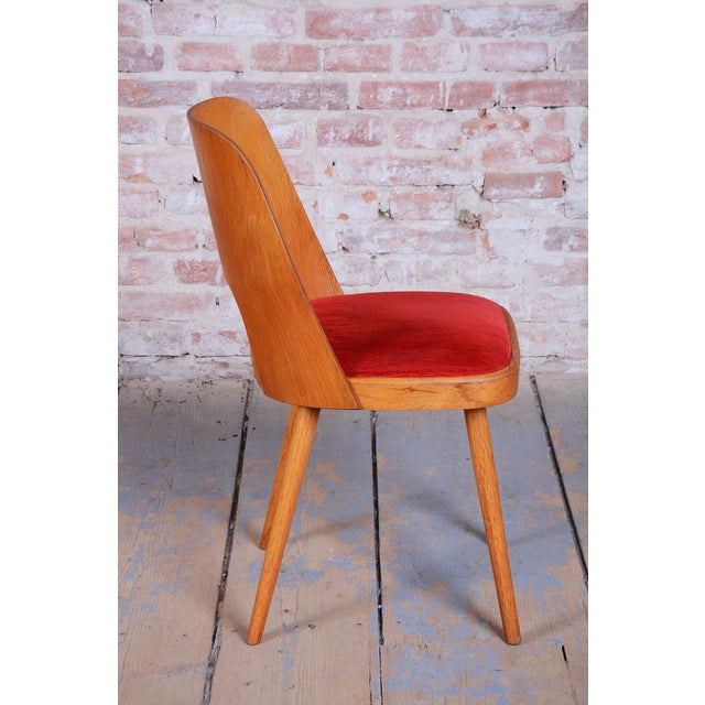 Mid-Century Beech Chairs by O. Haerdtl, Czech, 1950s, Set of 4 For Sale - Image 10 of 18
