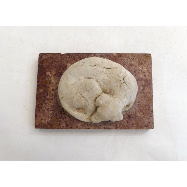 Small Art Deco Sculpture of a Sleeping Dog on a Marble Base, 1920s-1940s For Sale - Image 6 of 11