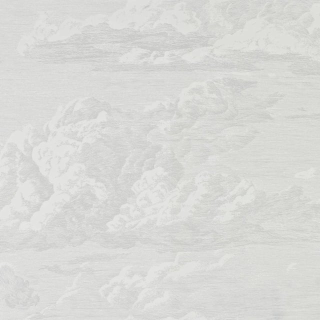 Contemporary Sample - Schumacher Cloud Toile Wallpaper in Quartz For Sale - Image 3 of 4