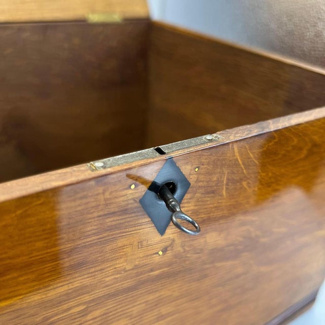 Jugendstil / Art Nouveau Box in Partly Ebonized Solid Oak, Austria, 1900 For Sale - Image 10 of 18