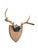 Vintage Taxidermy Deer Stag Antlers Mounted onto a Wooden Shield Plaque Perfect for a cozy home in the mountains!