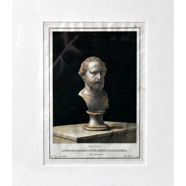 Black Antique Greek Bust Sculpture Engravings by Nicolas Vanni - a Pair For Sale - Image 8 of 13