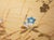 "Tit and Chrysanthemums", Showa Era Japanese Painted Silk Bybu Screen For Sale - Image 13 of 18
