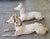 Victorian J. W. Fiske Antique Recumbent Cast Iron Greyhounds a Pair For Sale - Image 3 of 11