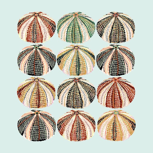 "Heatwave Urchin (Seafoam Blue)" Contemporary Giclee Print by Sarah Gordon For Sale